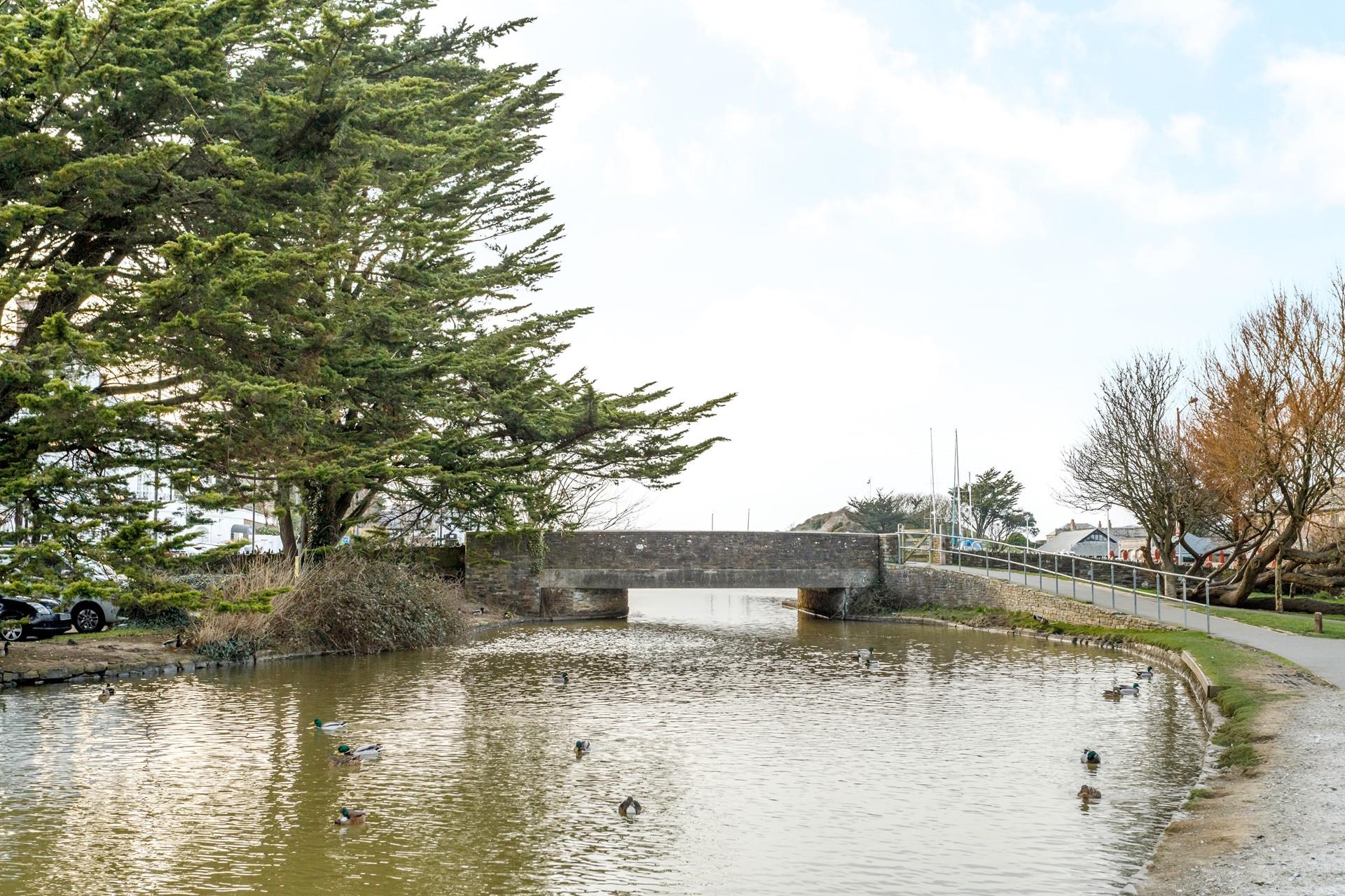 Follow the canal into town and discover the shops and cafes on offer.