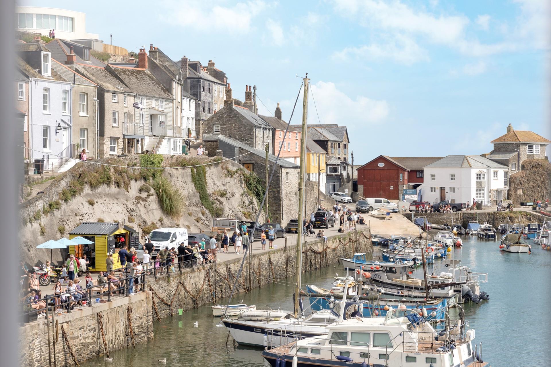 Take a boat trip out of the harbour and see what wildlife you can spot!