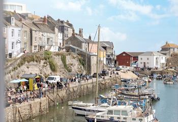 Take a boat trip out of the harbour and see what wildlife you can spot!