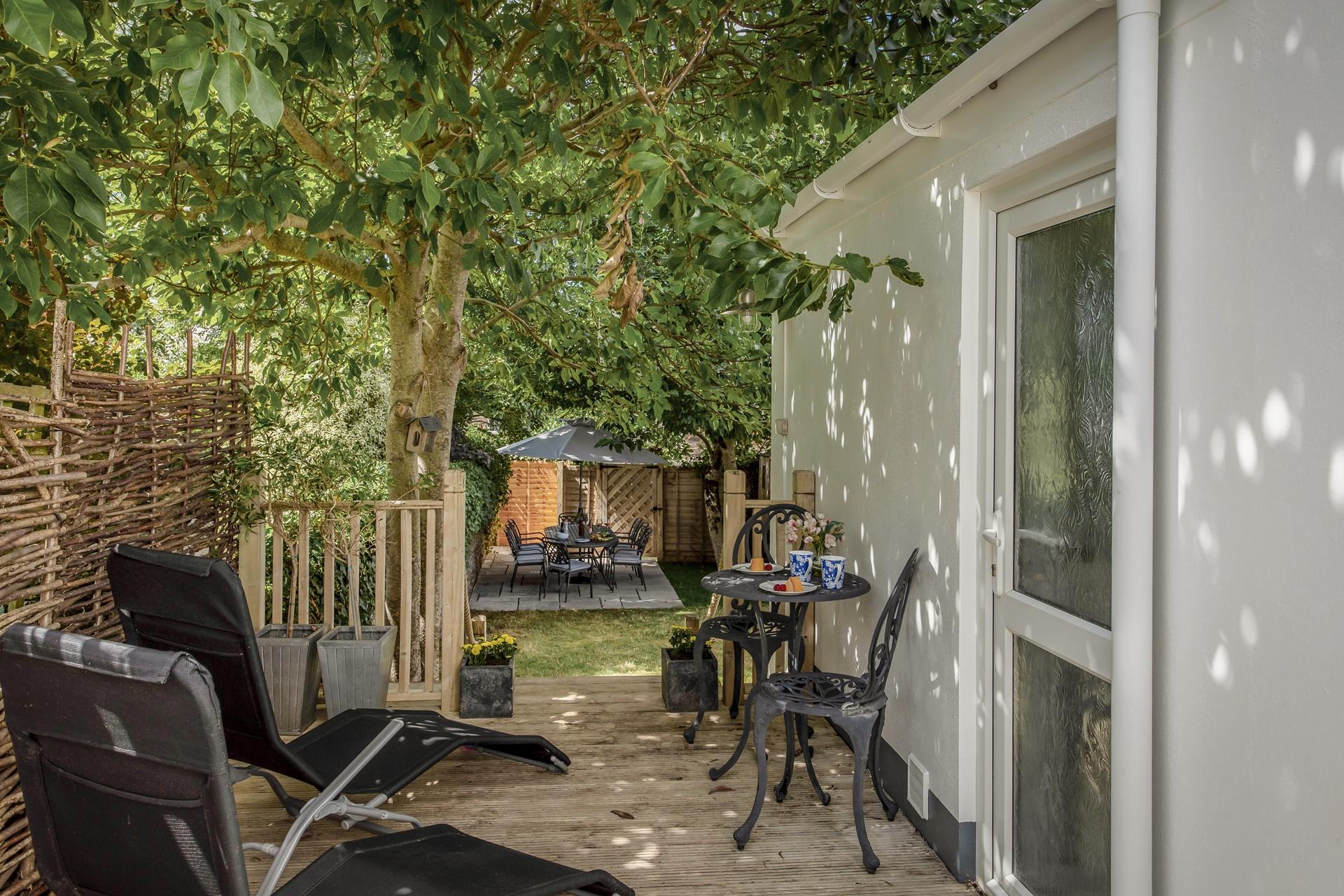 Enjoy the beautiful magnolia trees blooming in the late spring in the lovely garden.