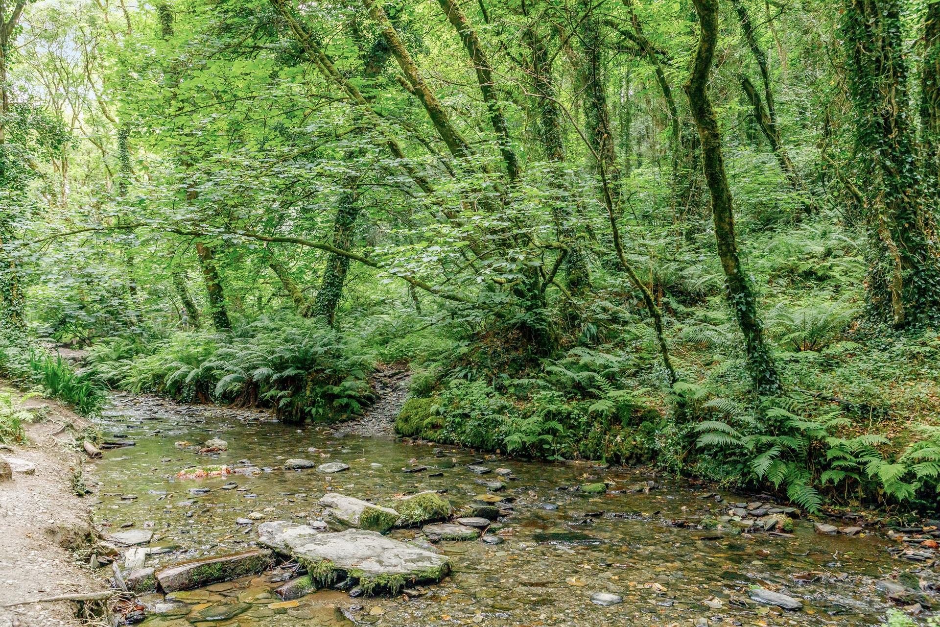 If you prefer beach days, there are lots of beaches nearby such as Polzeath.