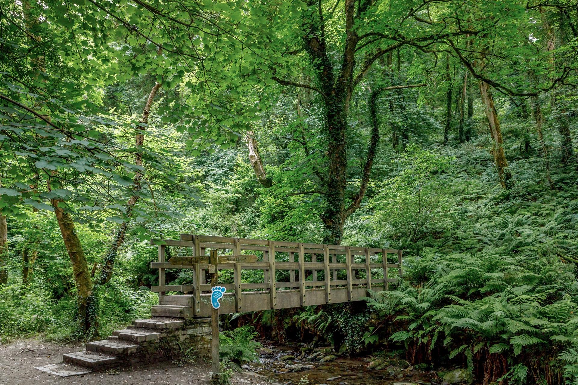 Explore all this attraction has to offer on long walks.