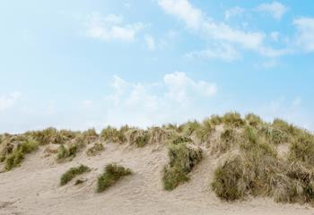  3 Sand Bay is dog friendly, so all the family can explore the miles of sand dunes.