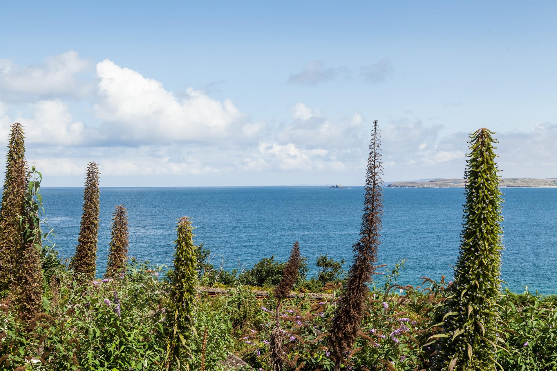 Take in the views right across to Godrevy Lighthouse.