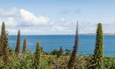 Take in the views right across to Godrevy Lighthouse. - Thumbnail Image