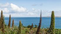 Take in the views right across to Godrevy Lighthouse.