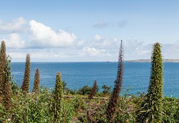 Take in the views right across to Godrevy Lighthouse.