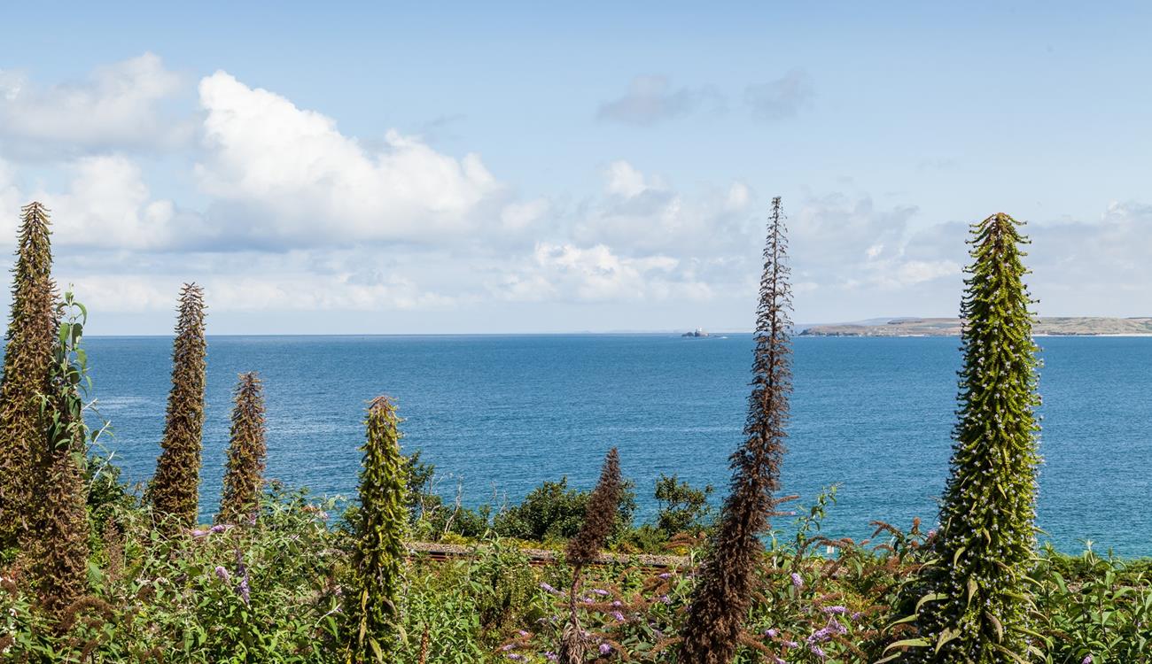 Take in the views right across to Godrevy Lighthouse.