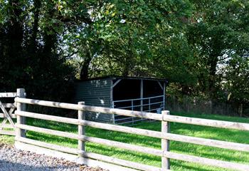 The shared dog field, surrounded by woodlands, has a small shelter for rainy days!