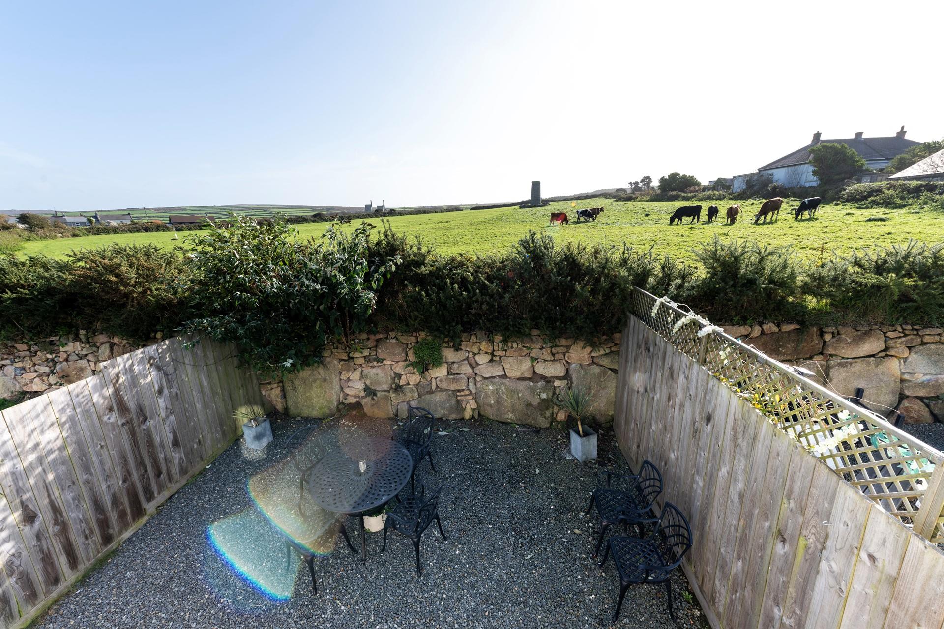 Say hi to the four-legged neighbours in the field.