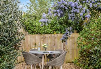 Beautiful wisteria blooms in the garden making the perfect spot for a glass of wine.