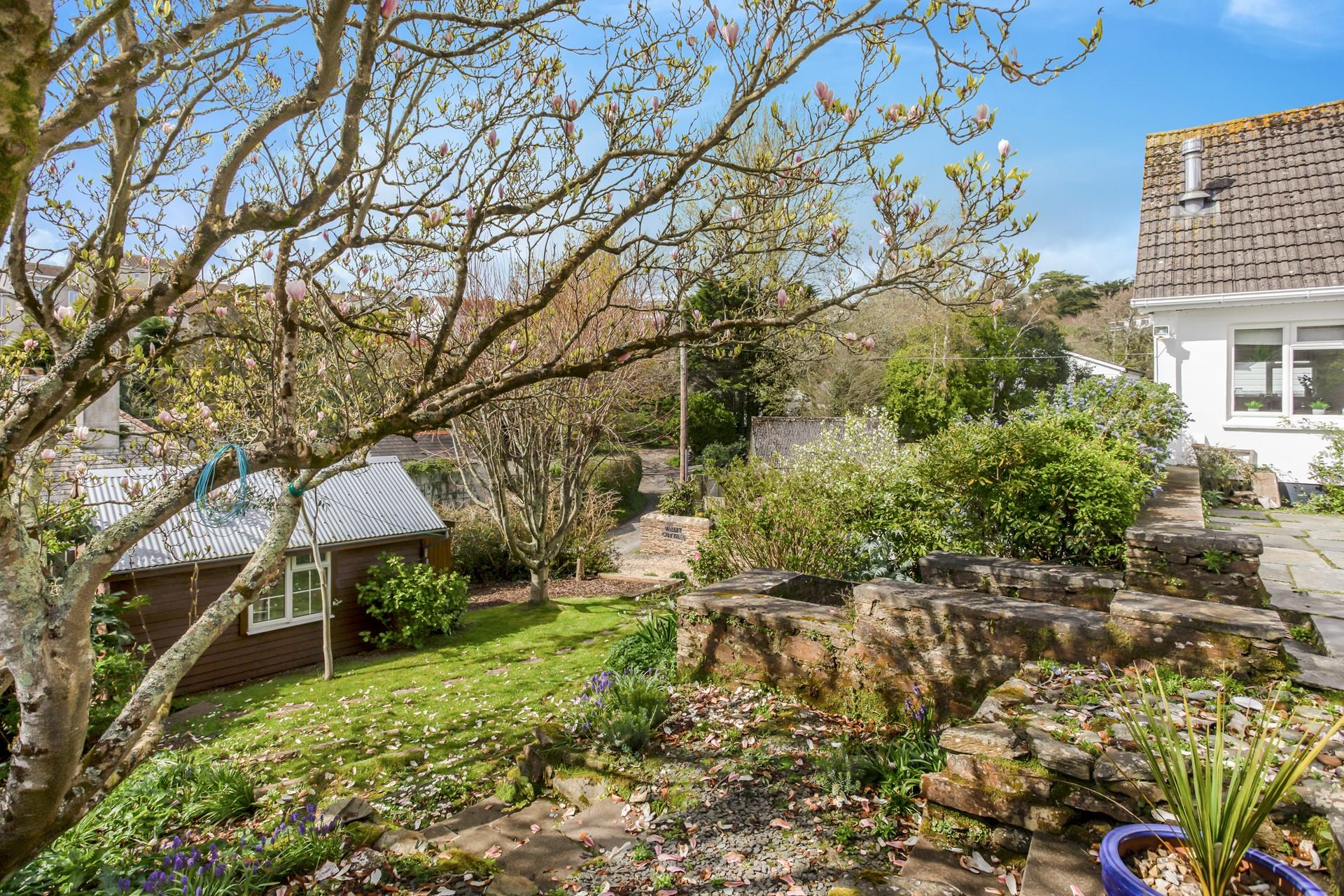 The magnolia tree blooms in spring filling the garden with colour.