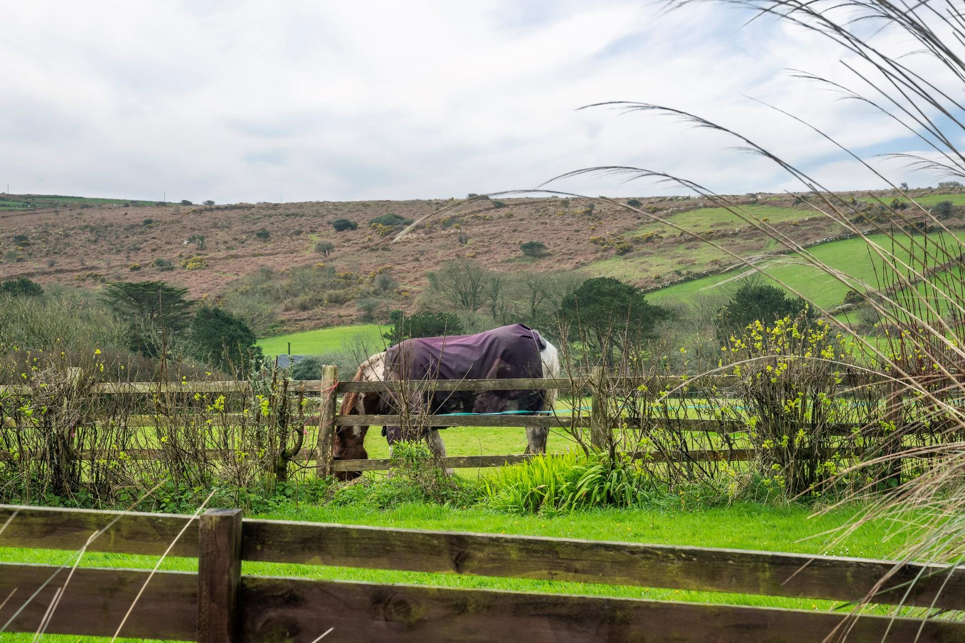 Say hello to your neighhhbours!