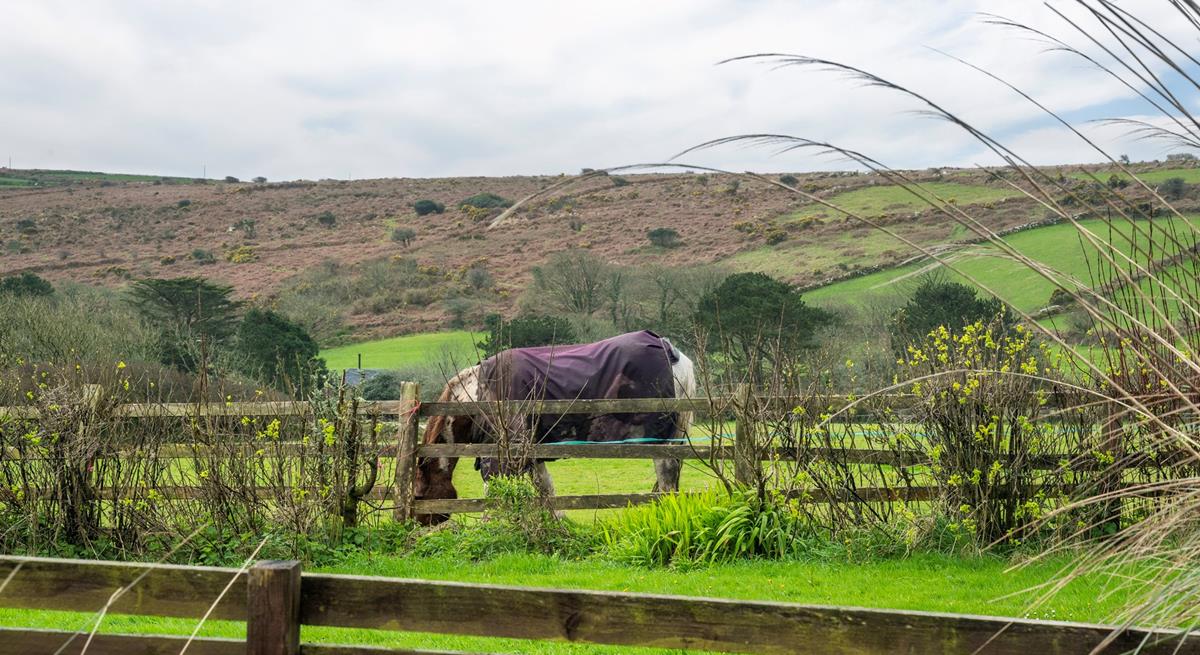 Say hello to your neighhhbours!