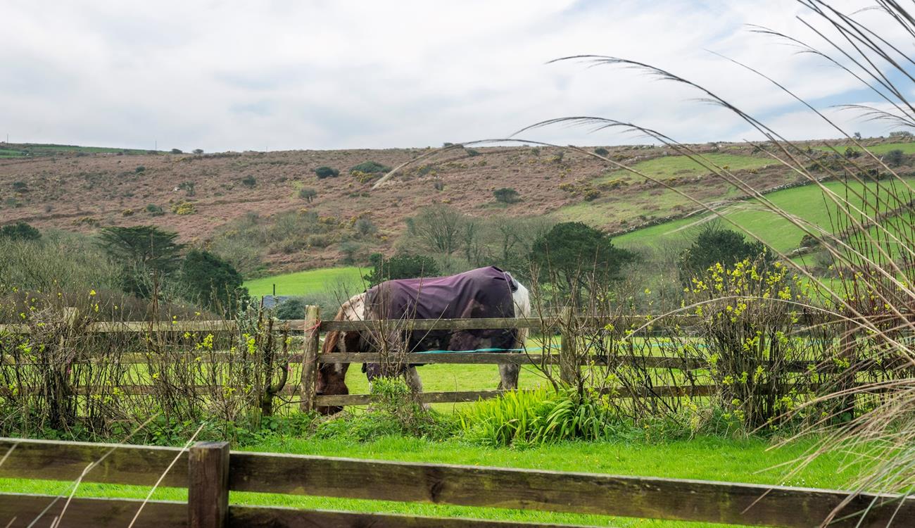 Say hello to your neighhhbours!