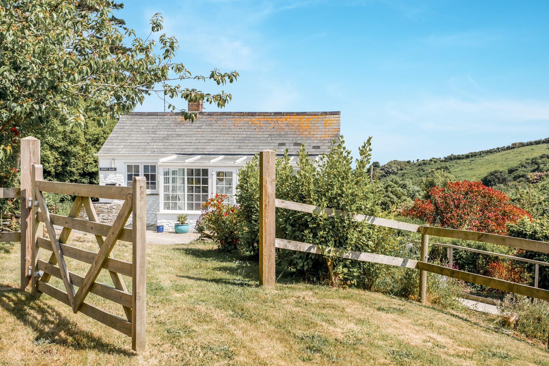 Let your furry friend run off some steam in the garden.