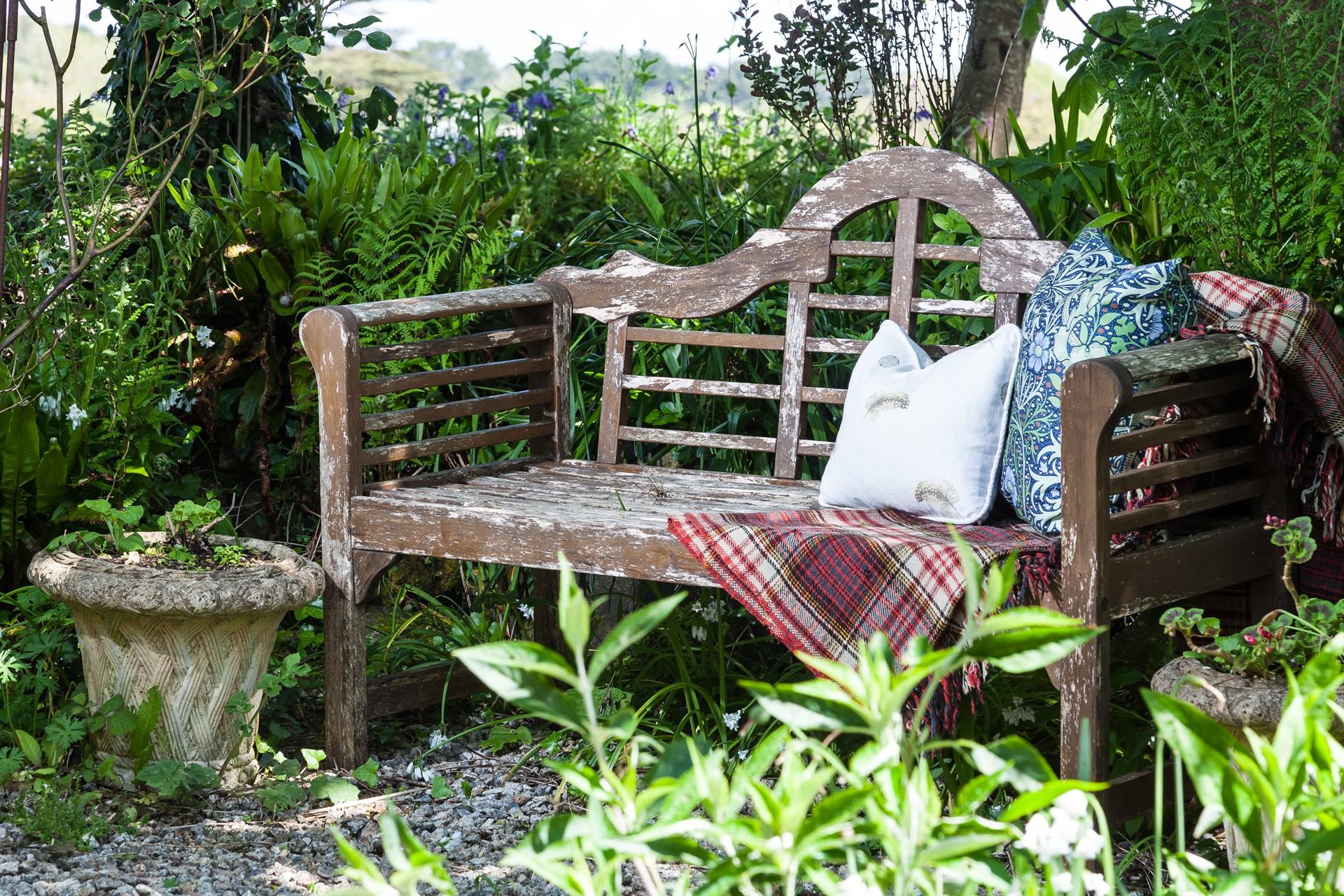 Listen to the sounds of the morning birdsong as the sunrises in the garden.