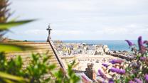 Your furry friend will love exploring the dog-friendly beaches in Cornwall.