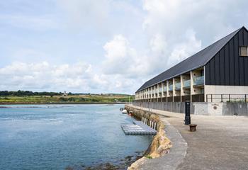 Take a scenic walk around Hayle Harbour with your pooch.