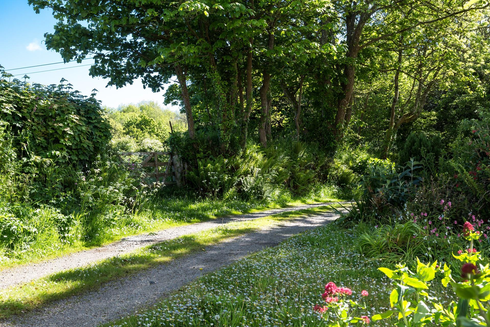 There's plenty of outdoor space for enjoying the Cornish sunshine.