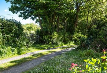 There's plenty of outdoor space for enjoying the Cornish sunshine.