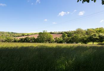 Gaze across rolling Cornish fields and feel a world away from daily life.
