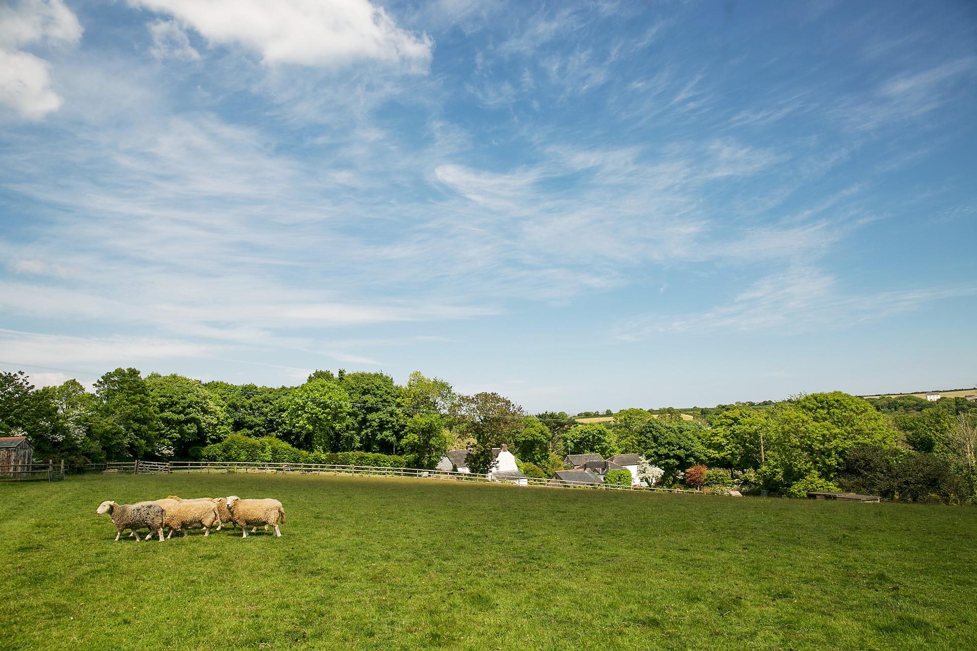 Say hi to the four-legged next-door neighbours!