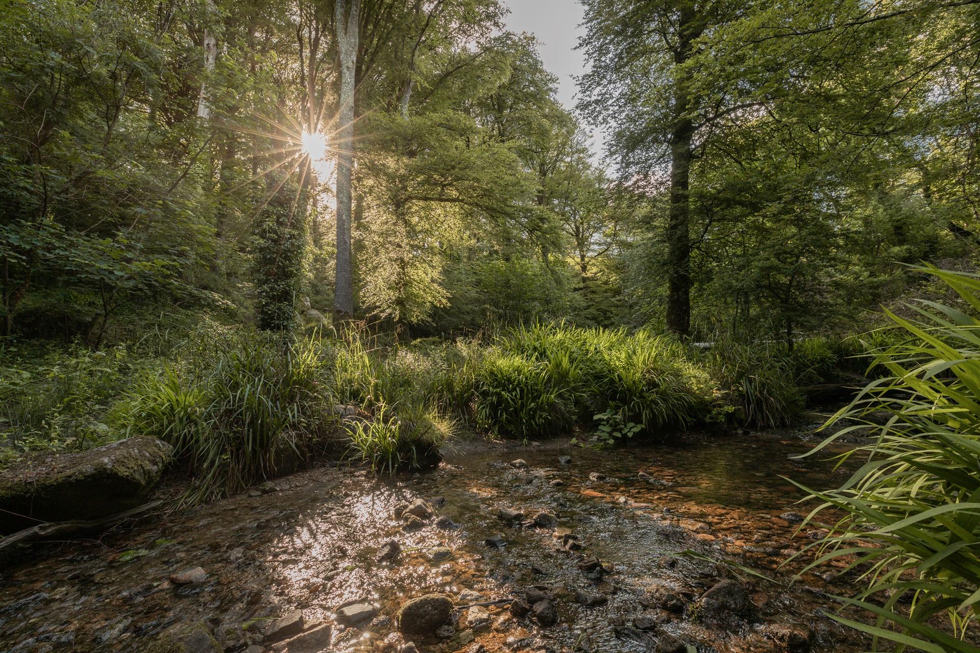 Sink into relaxation mode at this peaceful corner of Cornwall.