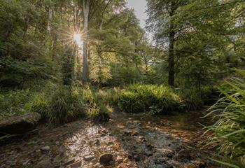 Sink into relaxation mode at this peaceful corner of Cornwall.