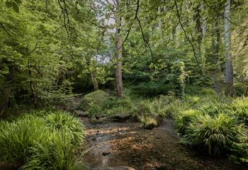 Take a paddle in the streams on warm sunny mornings.