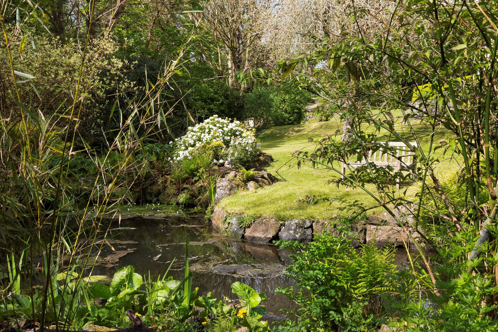 See what wildlife you can spot in the pond!