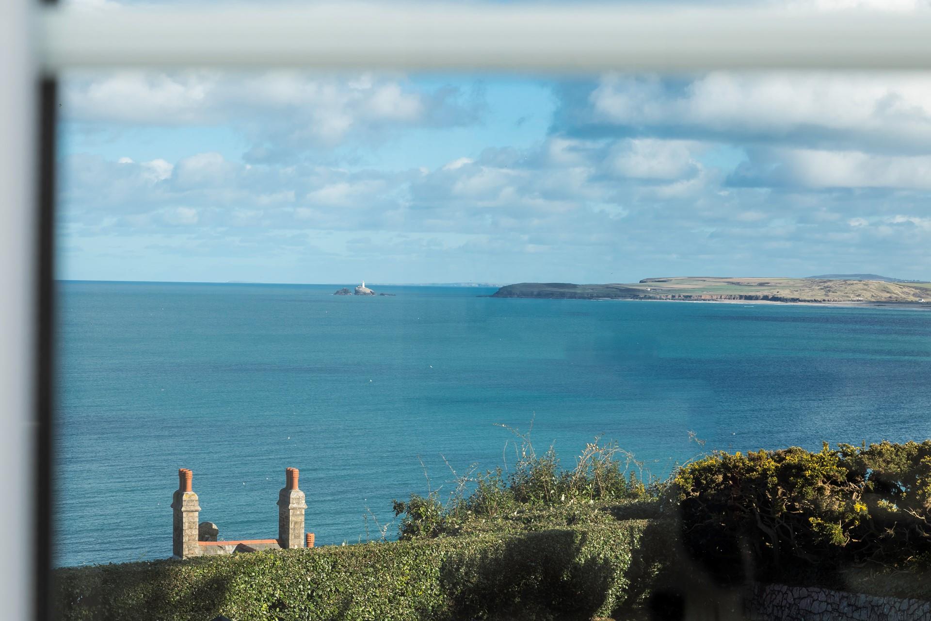 Take a boat trip out into the Bay to spot some local wildlife.