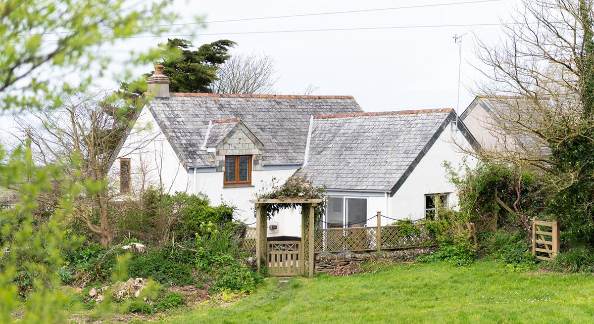 The large garden is perfect for your furry friends.