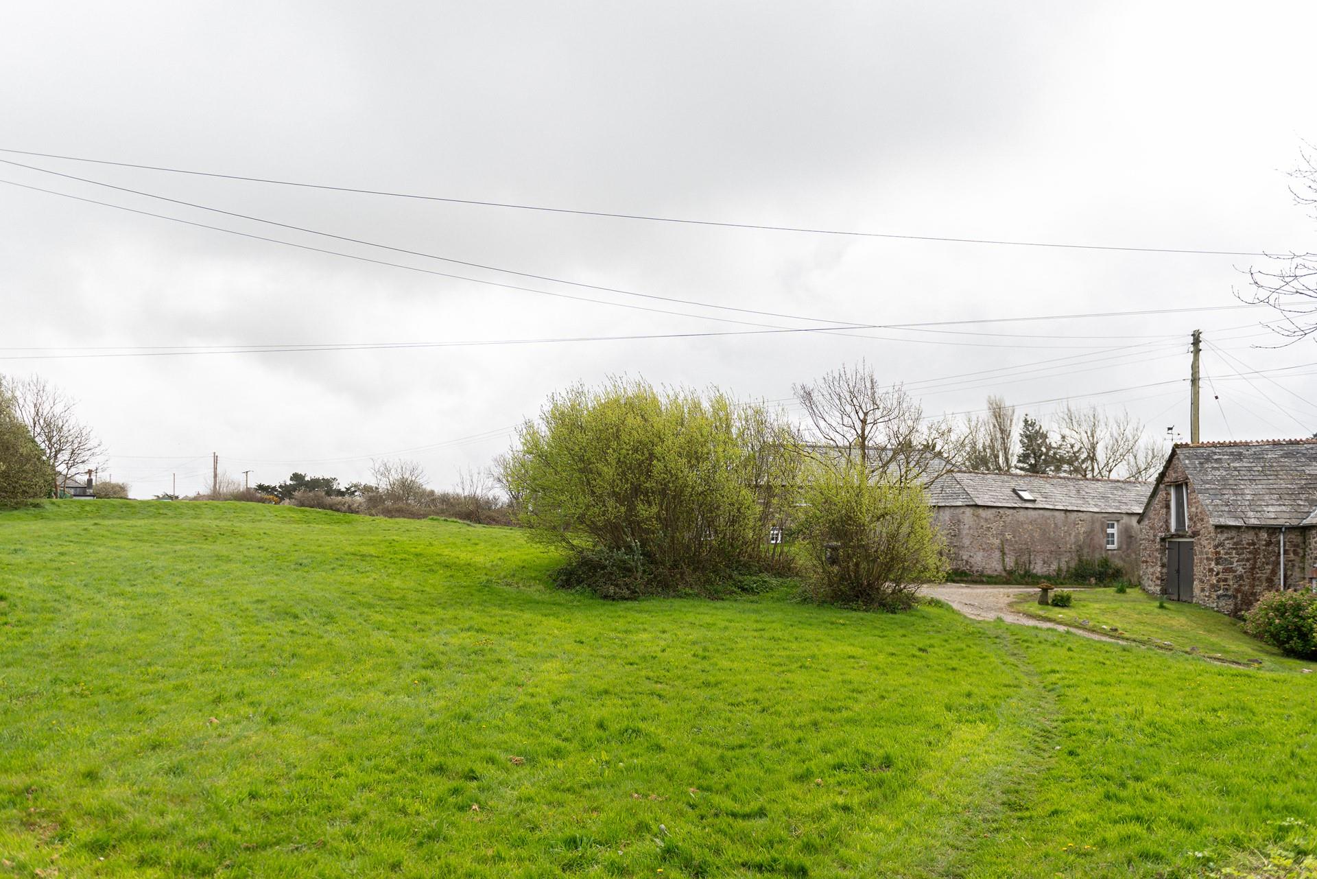 Your four-legged friends will love running in the garden!