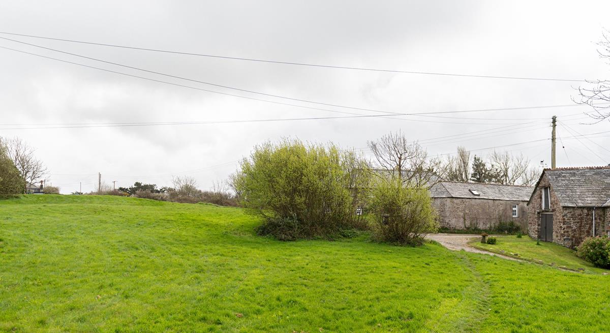 Your four-legged friends will love running in the garden!