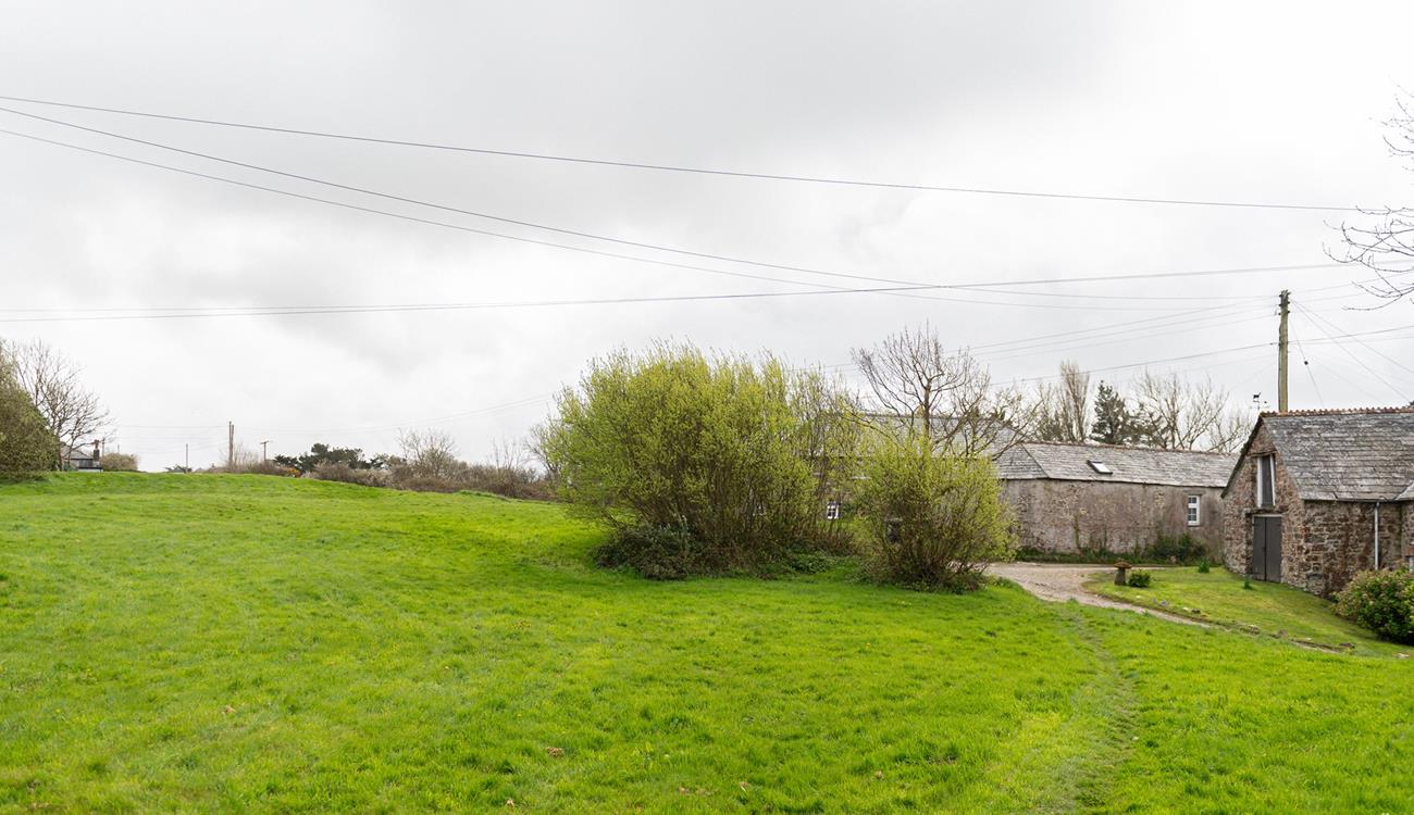 Your four-legged friends will love running in the garden!