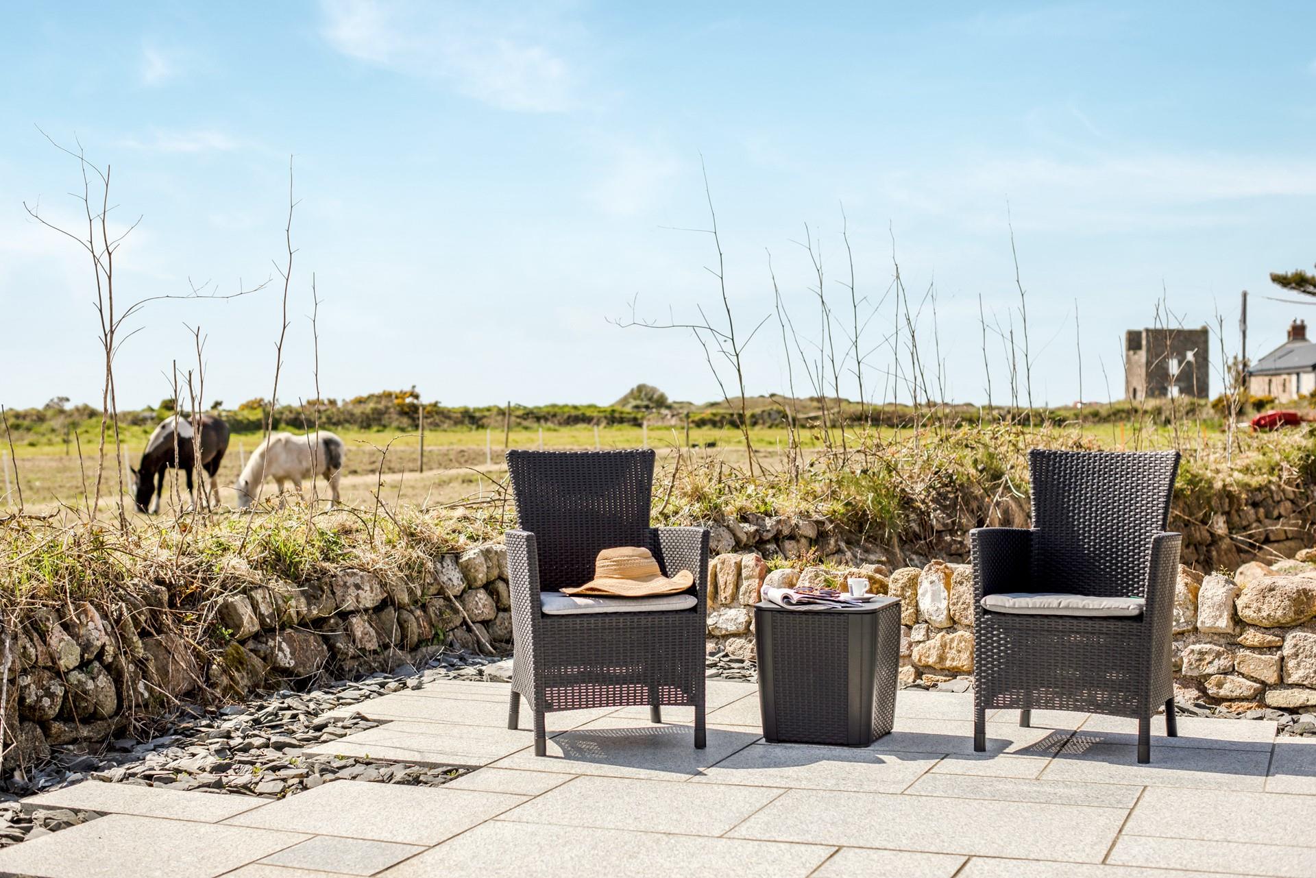 Watch the horses leisurely grazing in the fields on a sunny afternoon.