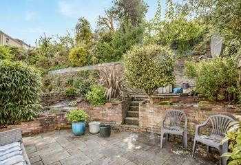 The garden is the perfect space for dogs to explore.