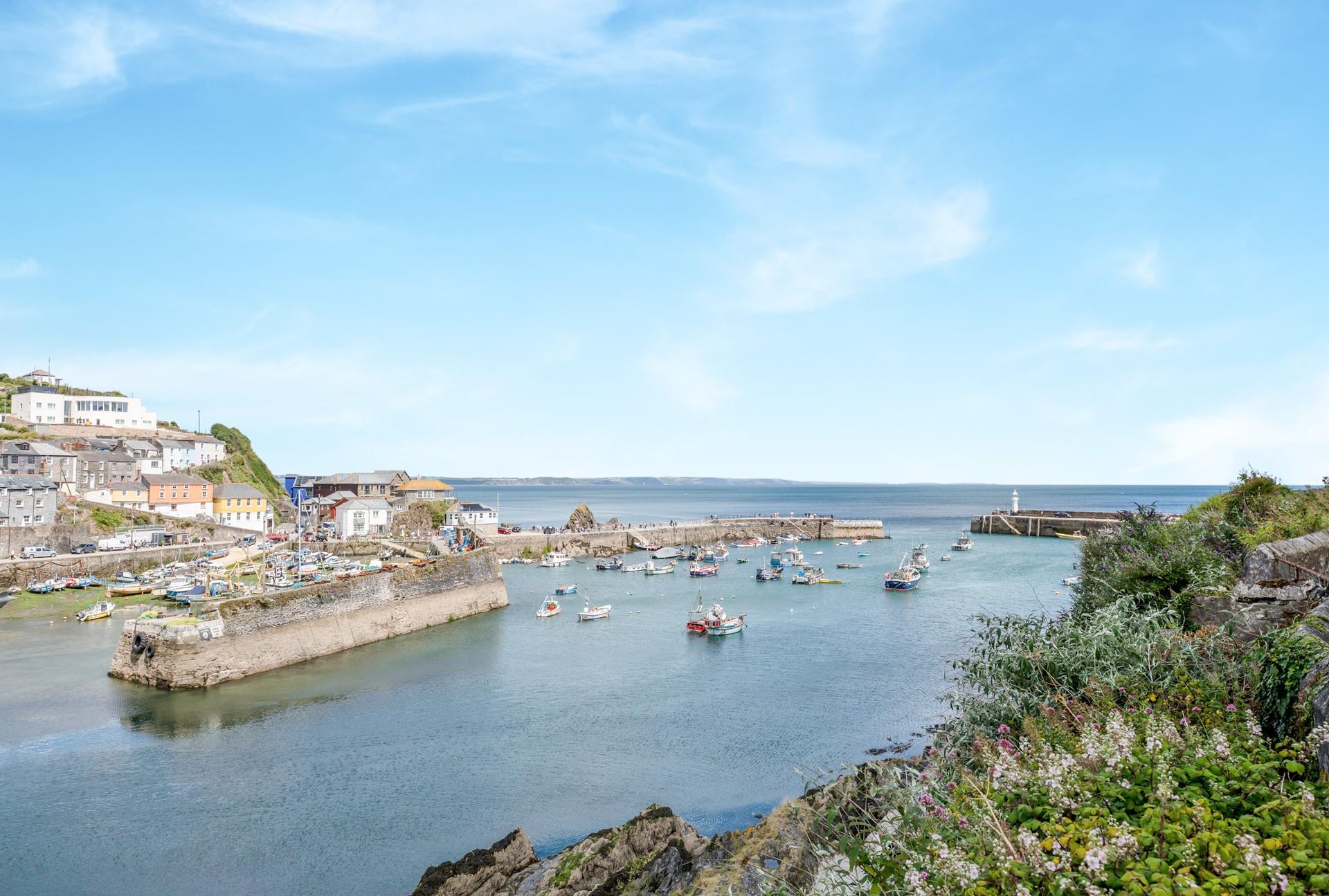 Why not take a boat trip and see if you can spot any dolphins?