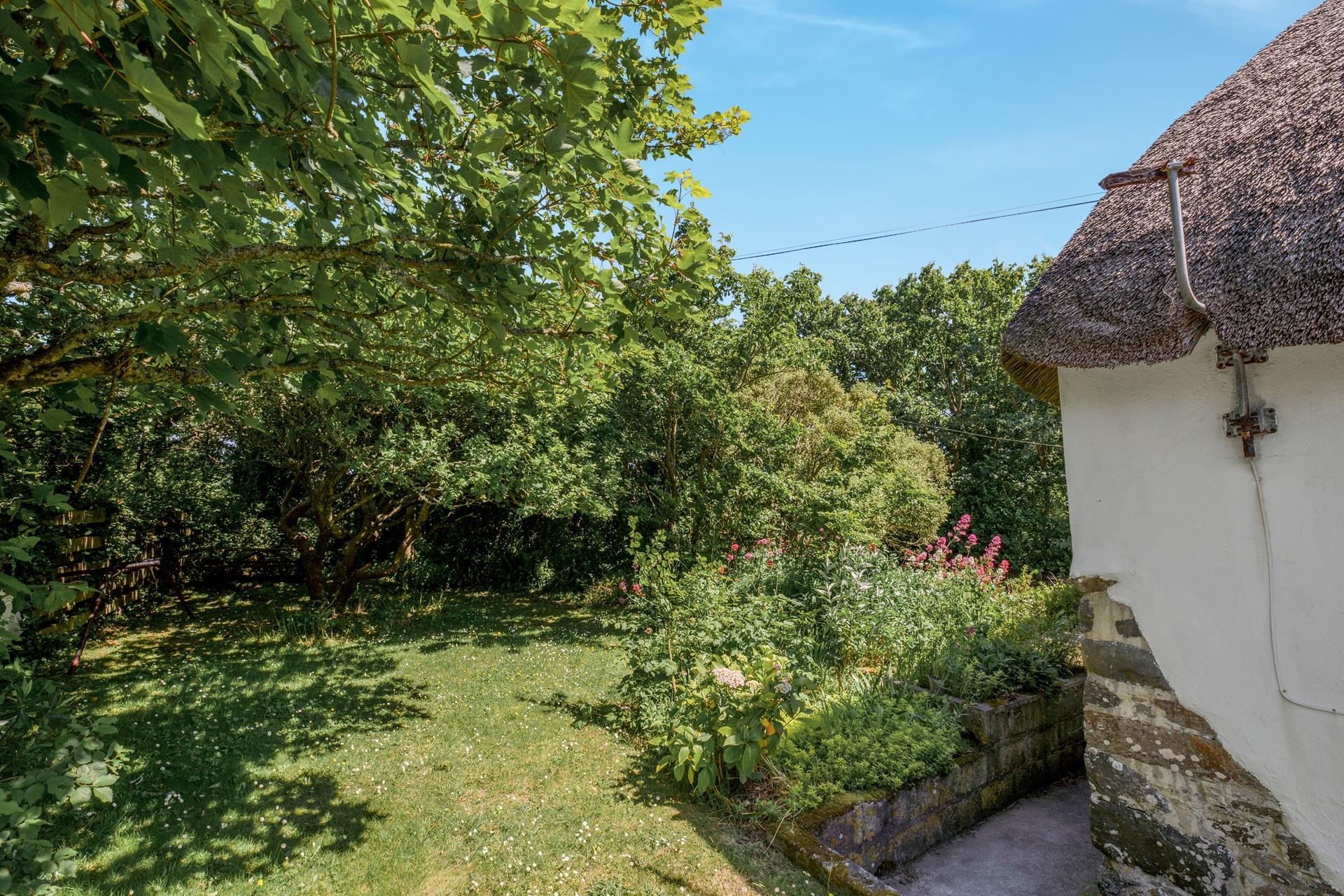 The garden is blooming in the summer months.