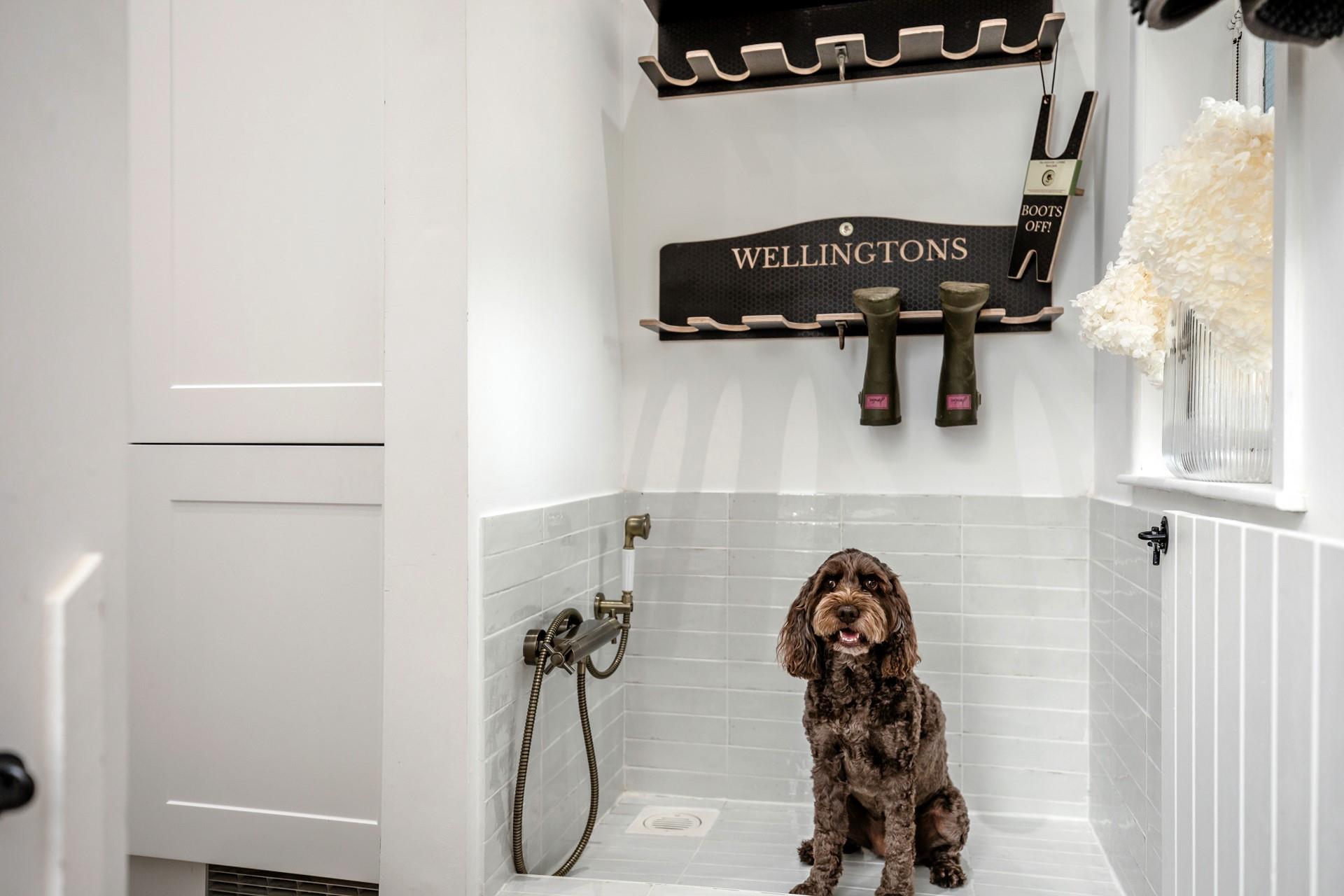 Coco loves the dog wash station after beach walks!