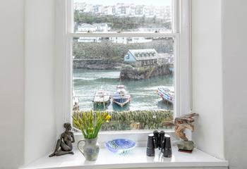 What wildlife will be spotted from the window?