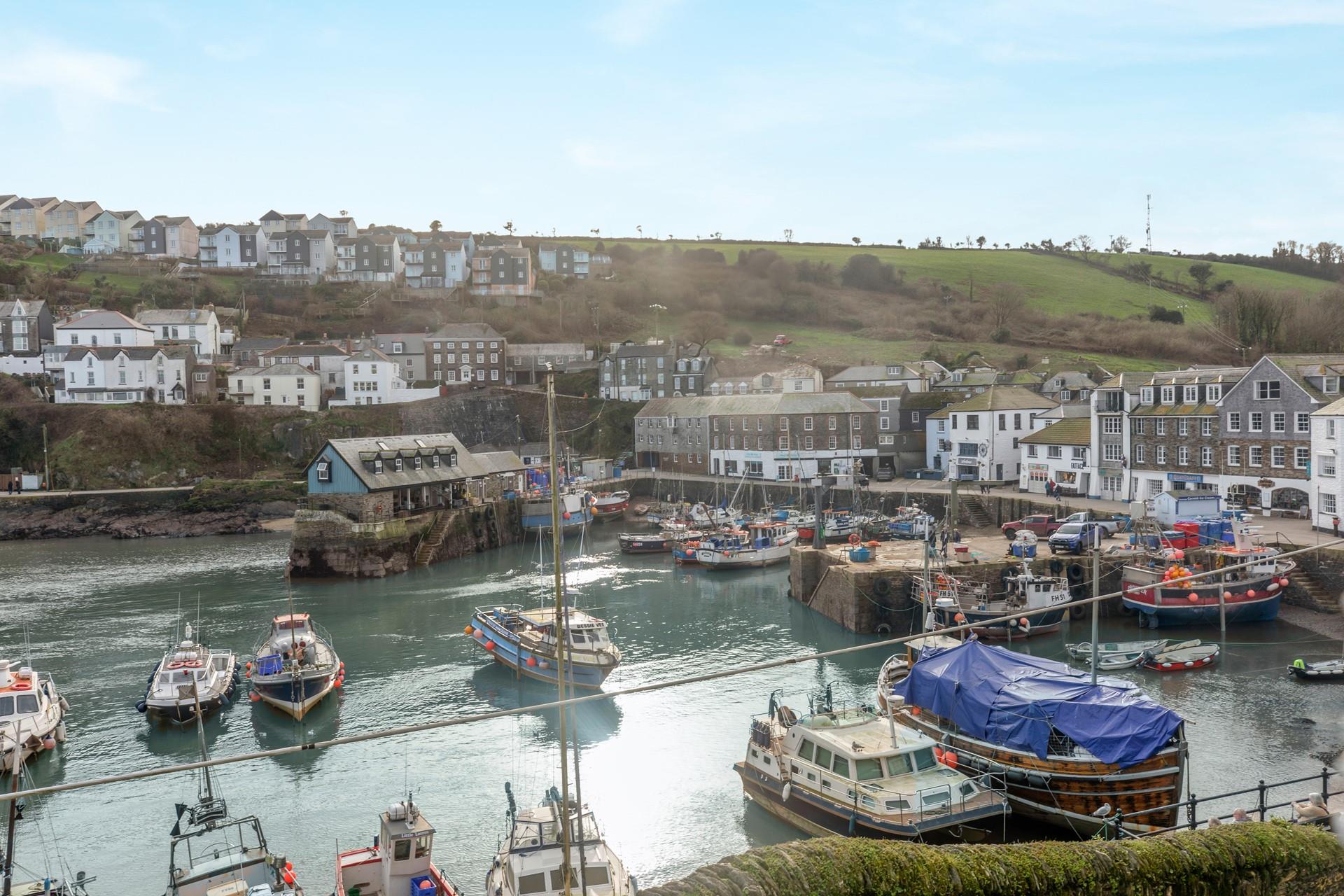 Why not take a boat trip out of the harbour?