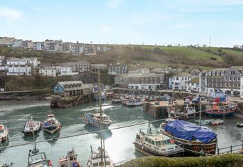Why not take a boat trip out of the harbour?