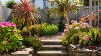 The garden blooms with colour in the sunshine.