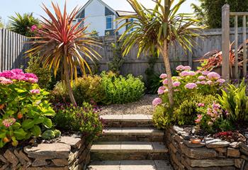 The garden blooms with colour in the sunshine.