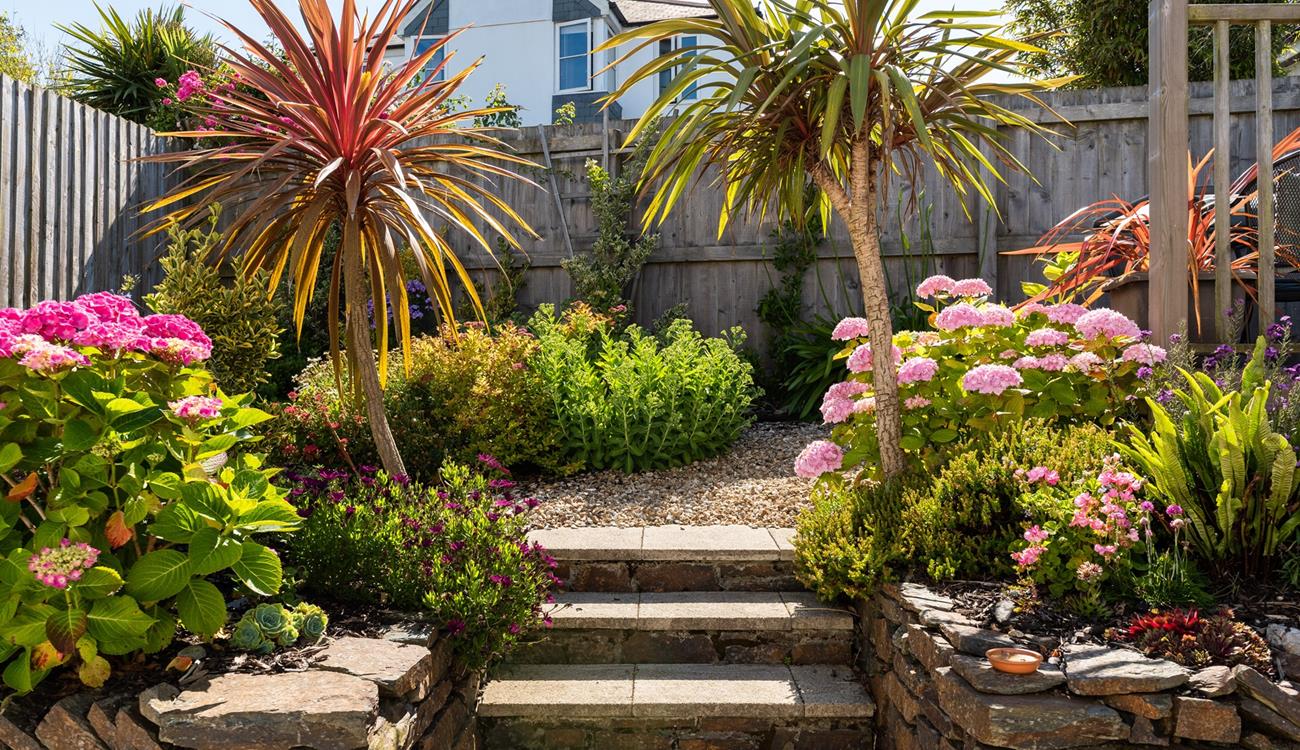 The garden blooms with colour in the sunshine.