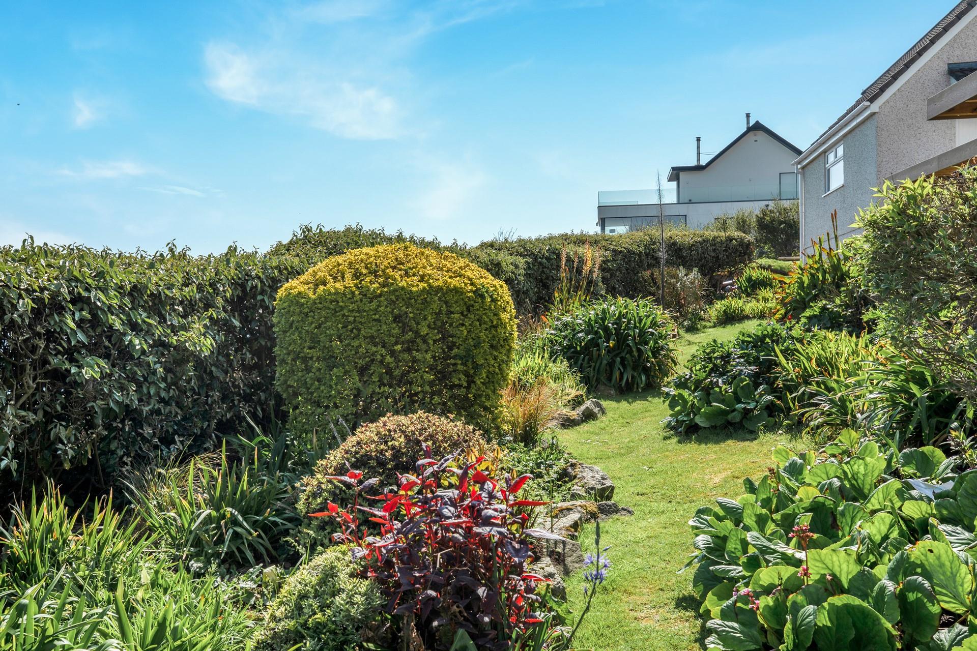 The enclosed garden is brimming with colourful plants.