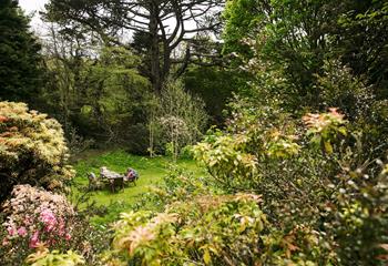 The large garden is ideal for al fresco dining.