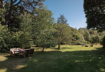 Wander through the leafy garden in the sunshine.